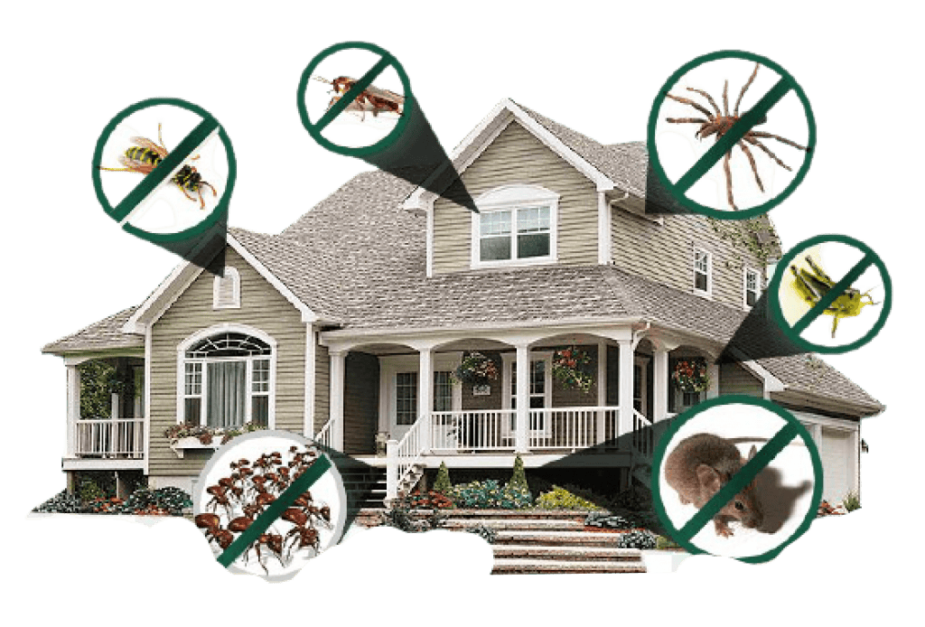 Contact us house pic