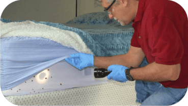 1st_section_Proactive_Solutions_image__1_50