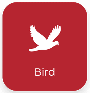 bird bg2