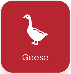 geese bg1