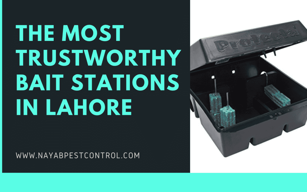 The most trustworthy Bait stations in Lahore