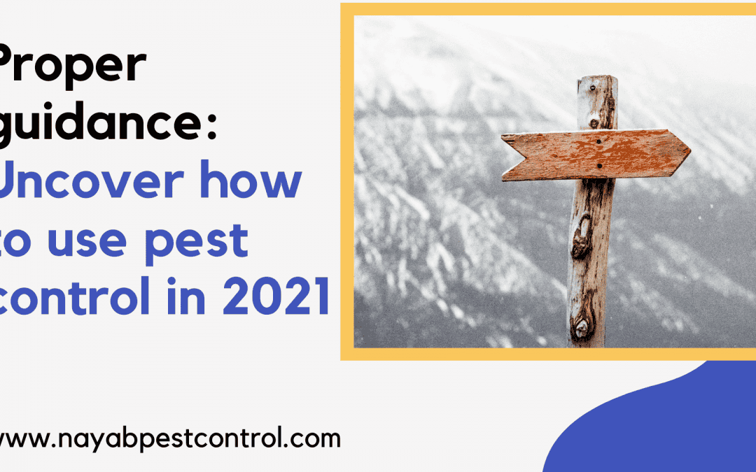 Proper guidance: Uncover how to use pest control in 2021