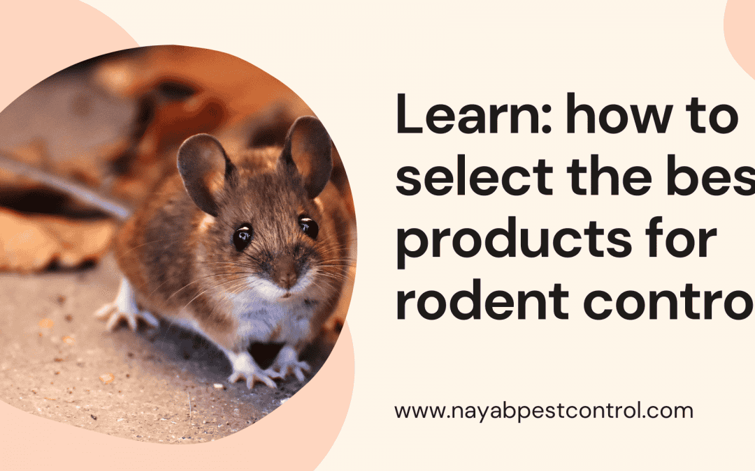 Learn: how to select the best products for rodent control