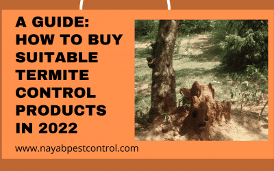 A Guide: How to Buy Suitable Termite Control Products in 2022