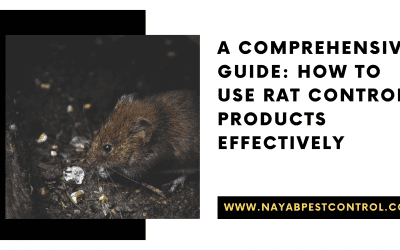 A Comprehensive Guide: How to Use Rat Control Products Effectively